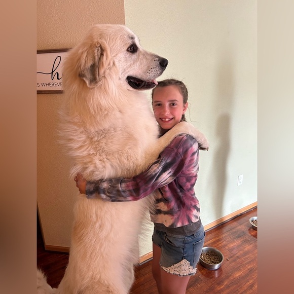 Welcome to our Posh!! - Picture 4 of 17